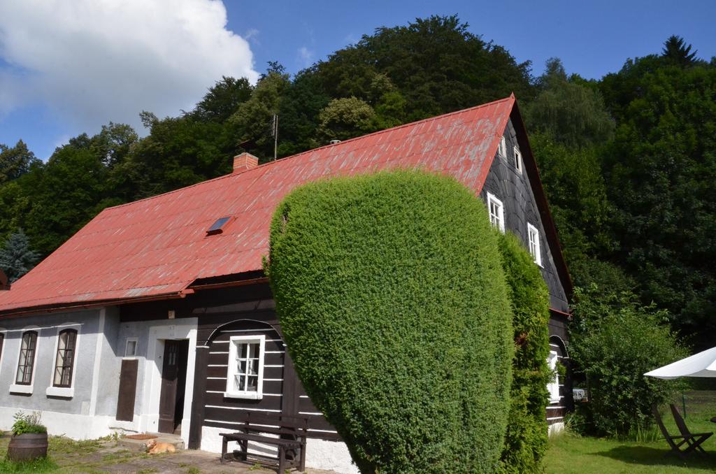Penzion U Kozy Chřibská Екстериор снимка